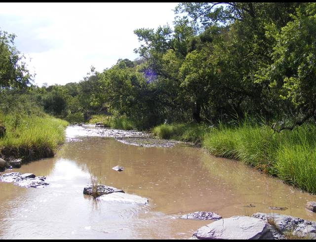 2,000HA FARM FOR SALE IN ESTCOURT RURAL